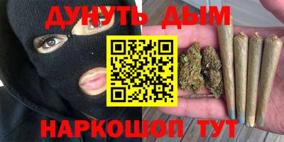 стафф Гусев