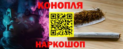 стафф Гусев