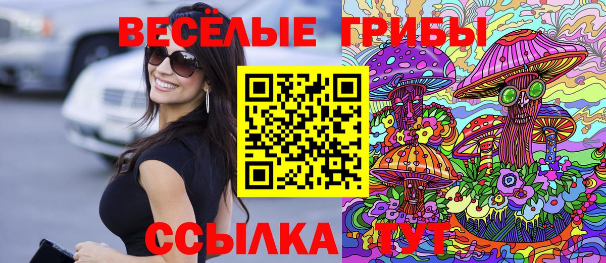 Магадан  Псилоцибиновые грибы Psilocybine cubensis  Вход с VPN  Псилоцибиновые грибы прущие грибы 