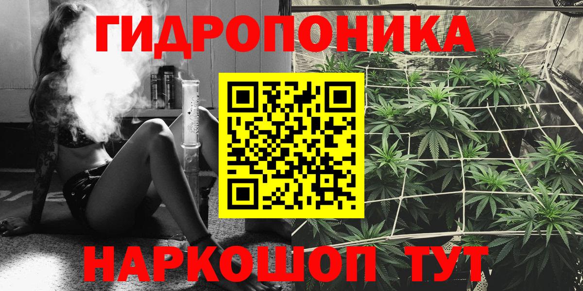 Канабис Amnesia  Бошки Шишки ГИДРОПОН  Магадан  Конопля семена  Вход с VPN 